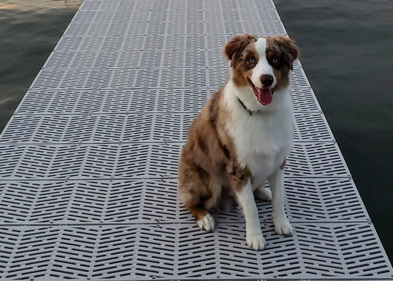 Picture of Signature 4' x 8' Sure Step Dock Top